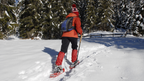 Northern Québec (Summer or Winter) Escape | 7 Days of Fjord Views, Forest Trails & Lodge Comfort