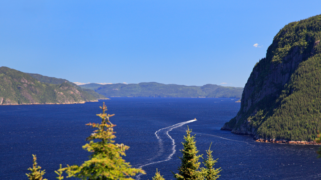 Northern Québec (Summer or Winter) Escape | 7 Days of Fjord Views, Forest Trails & Lodge Comfort