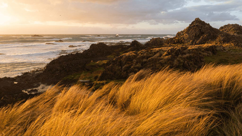 Rocks and grass by a coastal landscape with a sunset.
