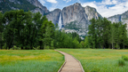 Icons of Western USA | 10–18 Days of Coast, Canyons & Giant Trees