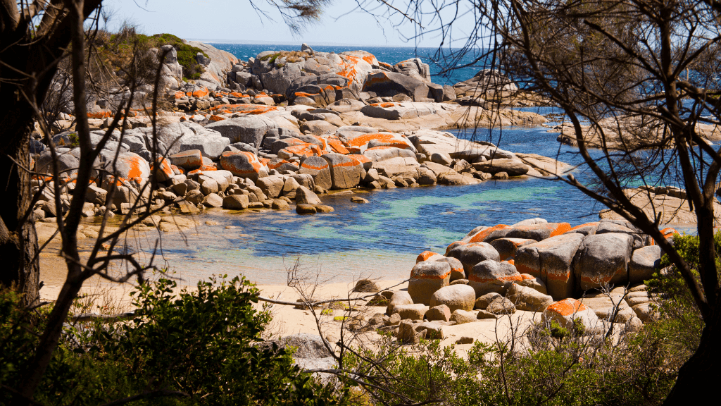 Bay of Fires Trek | 4-Day Coastal Wilderness Walk