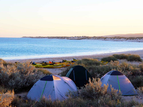 Beach campsite with tents and kayaks along the Ningaloo Coast during the 3-Day Kayak & Snorkel Safari. Perfect for outdoor camping experiences.