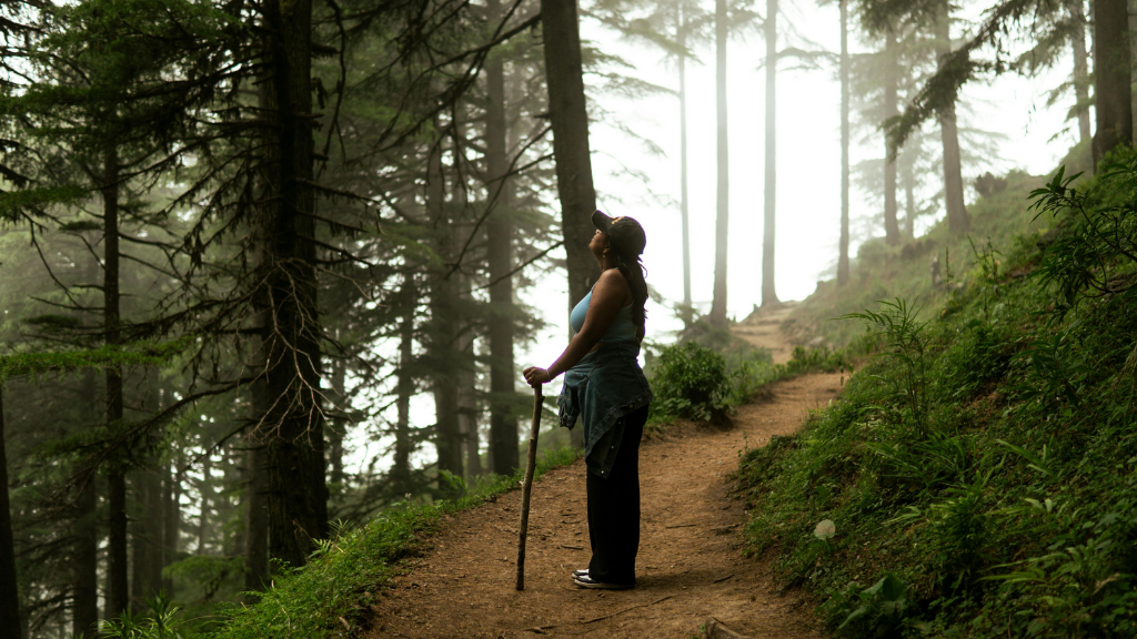 Northern Québec (Summer or Winter) Escape | 7 Days of Fjord Views, Forest Trails & Lodge Comfort