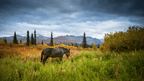 Ridge Walks, Ice Treks &amp; Kayaks | 14-Day Wild Alaskan Adventure