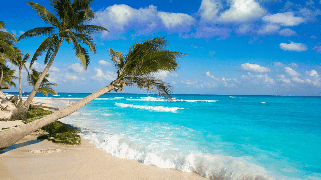 Colonial Streets to Coral Seas | 14 or 22-Day Mexican Mayan Adventure