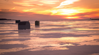Northern Québec (Summer or Winter) Escape | 7 Days of Fjord Views, Forest Trails & Lodge Comfort