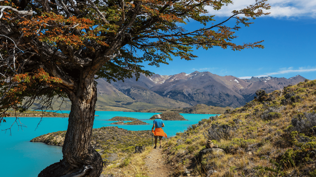 Patagonia Two Ways in 14-Days | Signature Sights or Serious Trails