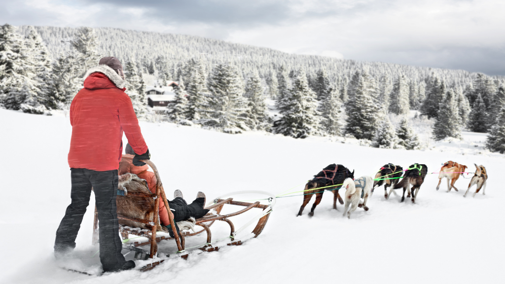 Northern Québec (Summer or Winter) Escape | 7 Days of Fjord Views, Forest Trails & Lodge Comfort