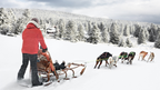 Northern Québec (Summer or Winter) Escape | 7 Days of Fjord Views, Forest Trails & Lodge Comfort