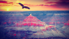 Icons of Western USA | 10–18 Days of Coast, Canyons & Giant Trees