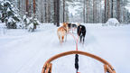 Northern Québec (Summer or Winter) Escape | 7 Days of Fjord Views, Forest Trails & Lodge Comfort