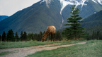 The Rockies 8-Day Turquoise Corridor | Banff, Jasper, Whistler & the Okanagan — Vancouver ⇄ Calgary