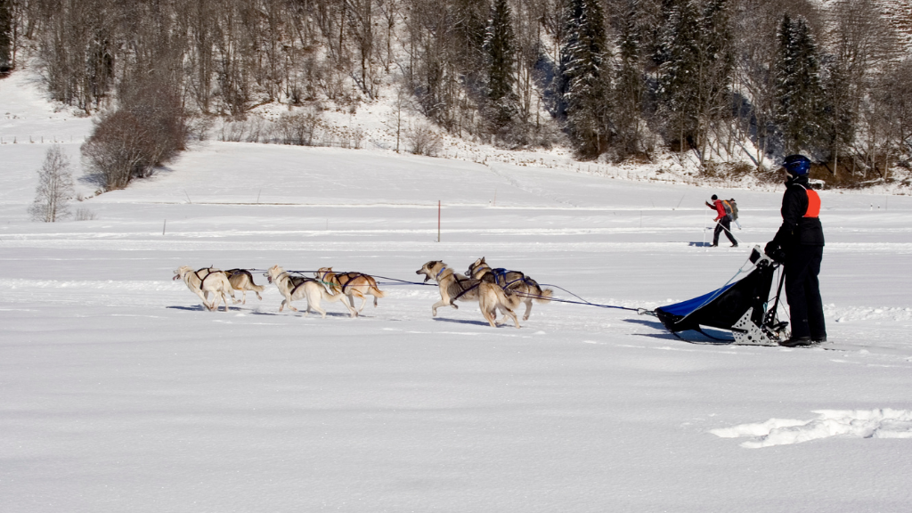 Northern Québec (Summer or Winter) Escape | 7 Days of Fjord Views, Forest Trails & Lodge Comfort