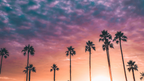 Icons of Western USA | 10–18 Days of Coast, Canyons & Giant Trees