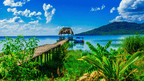 Rainforest Paths to Marine Gardens | 9-Days from Belize City → Caye Caulker