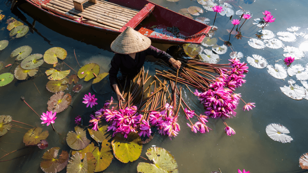 Icons of Vietnam | 12/15 Days of Old Towns, Epic Views & Street Eats