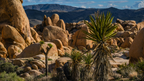 Icons of Western USA | 10–18 Days of Coast, Canyons & Giant Trees