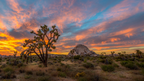 Icons of Western USA | 10–18 Days of Coast, Canyons & Giant Trees