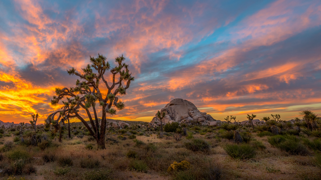 Icons of Western USA | 10–18 Days of Coast, Canyons & Giant Trees