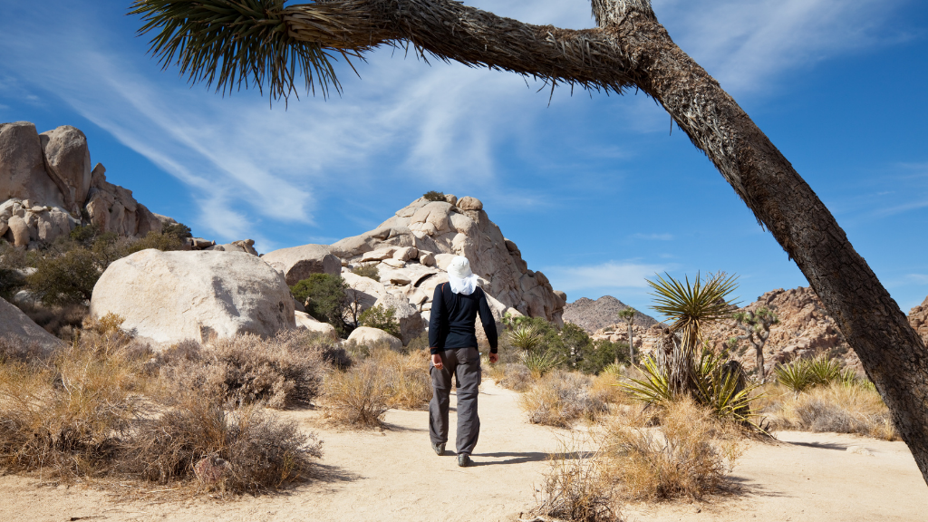 Icons of Western USA | 10–18 Days of Coast, Canyons & Giant Trees