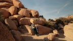 Icons of Western USA | 10–18 Days of Coast, Canyons & Giant Trees