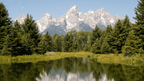 Geysers & Grizzlies | Yellowstone & Grand Teton — 6-Day Jackson Loop