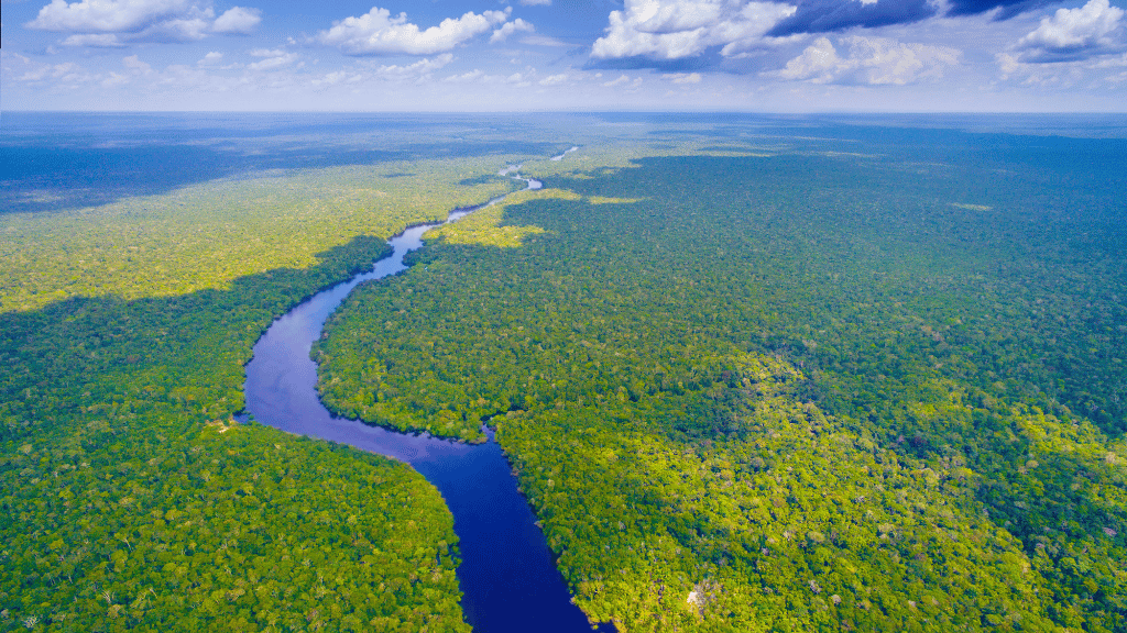 Riverboat to the Heart of the Amazon | 9 Days of Wildlife & Wild Waters