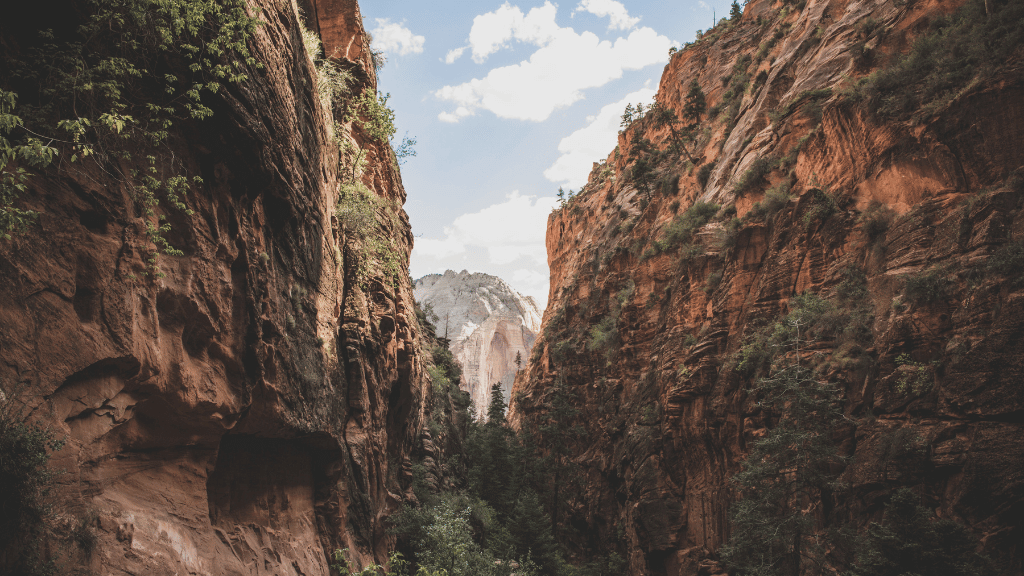 Majestic canyon view with towering rock walls and lush greenery in Zion National Park.
