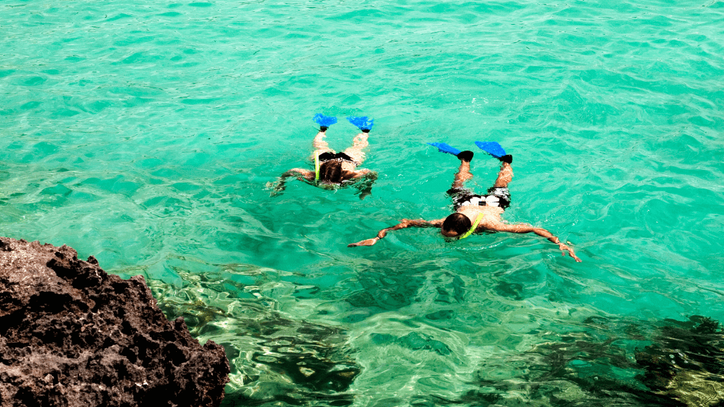 Two snorkelers exploring clear turquoise waters near rocky shoreline on the Ningaloo Safari 3-Day Tour. Perfect for reef discovery.