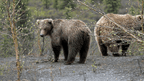 Ridge Walks, Ice Treks &amp; Kayaks | 14-Day Wild Alaskan Adventure