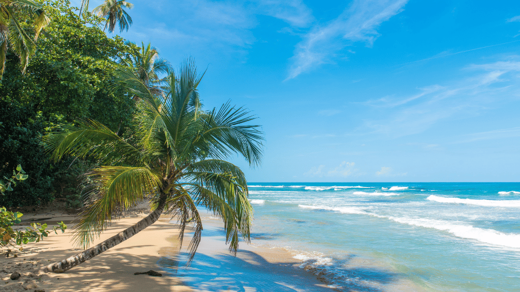 Costa Rica Pura Vida: Volcanoes, Cloud Forests & Wild Coasts | San José → San José (9/16 Days)