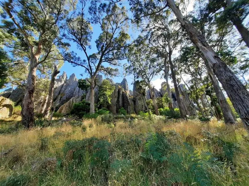 Daylesford & Goldfields Track 4-Day Walking Tour | Spa, Trails & Heritage Towns