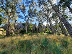 Daylesford & Goldfields Track 4-Day Walking Tour | Spa, Trails & Heritage Towns