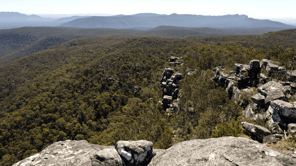 Stunning panoramic view from the Grampians, showcasing rugged cliffs and lush green forested landscapes.