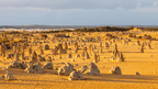 Pinnacles Desert rock formations at sunset on West Coast Road Trip from Perth to Exmouth. Unique natural landmark in Western Australia.