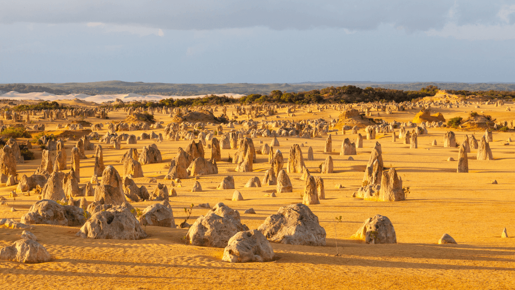 Pinnacles Desert rock formations at sunset on West Coast Road Trip from Perth to Exmouth. Unique natural landmark in Western Australia.