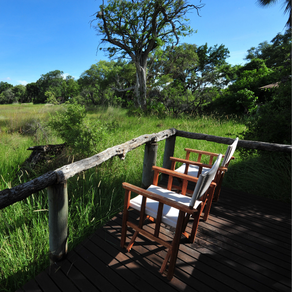Delta Giants Expedition | 7 Days | Wildlife & Conservation | (Sample)