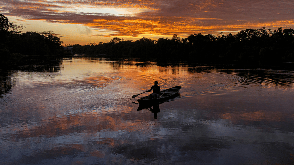 Riverboat to the Heart of the Amazon | 9 Days of Wildlife & Wild Waters