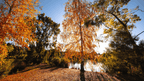 Daylesford & Goldfields Track 4-Day Walking Tour | Spa, Trails & Heritage Towns