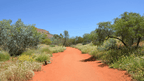 Scenic red dirt path surrounded by lush greenery and wildflowers, perfect for adventure and outdoor tours in the Top End.