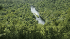 River winding through a dense forest