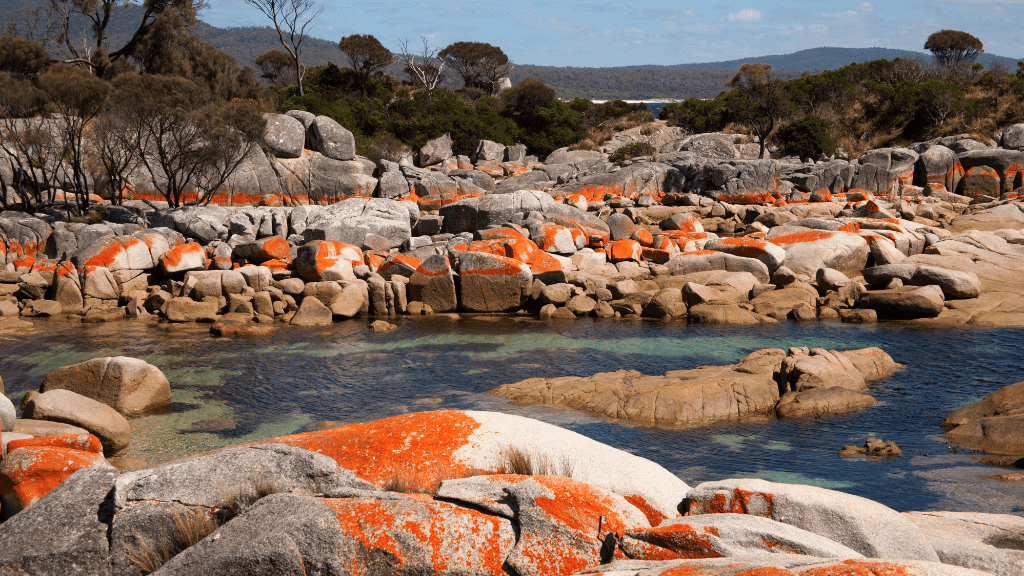 Bay of Fires Trek | 4-Day Coastal Wilderness Walk