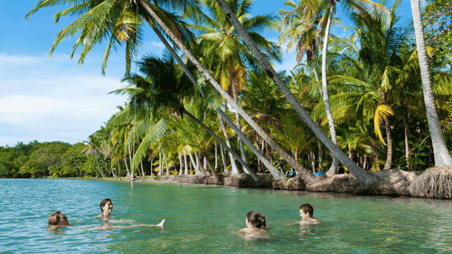 Travelers swim in turquoise waters under leaning palm trees in Costa Rica, part of the Costa Rica to Colombia Tour - Adventure Overview.