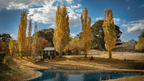 Autumn landscape with colorful trees and a small building near a pond.