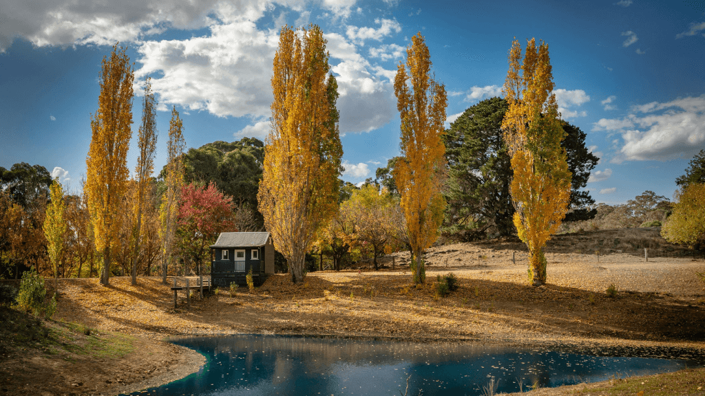 Autumn landscape with colorful trees and a small building near a pond.