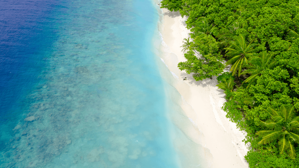 Reefs, Sharks & Sandbanks | 7-Day Maldives Snorkel & Island Escape