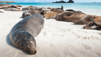 Small Ship Galápagos | 7/10 or 17-Days Island-Hoping Expedition