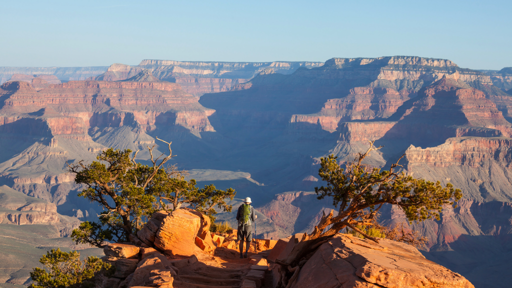 Icons of Western USA | 10–18 Days of Coast, Canyons & Giant Trees