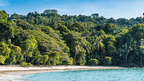 Costa Rica Pura Vida: Volcanoes, Cloud Forests & Wild Coasts | San José → San José (9/16 Days)