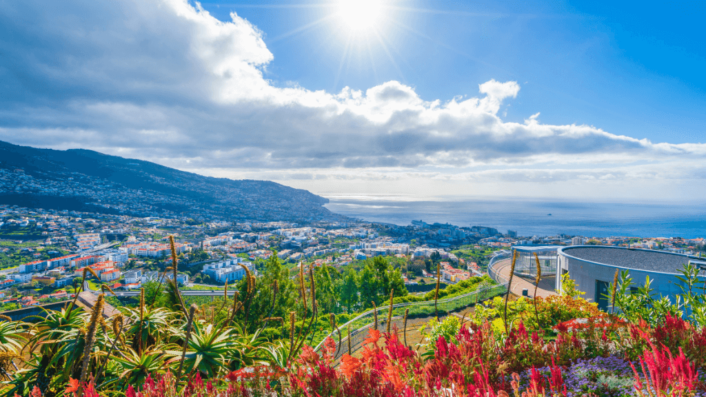 Panoramic view of Funchal and the Atlantic Ocean from a hillside garden, concluding the 6-days hiking Madeira’s trails.